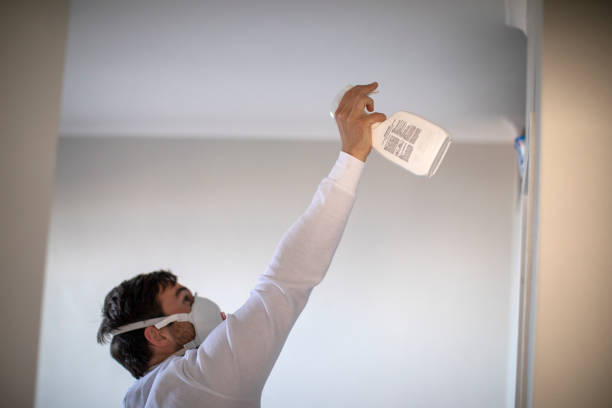 Best Residential Mold Removal  in New Plymouth, ID